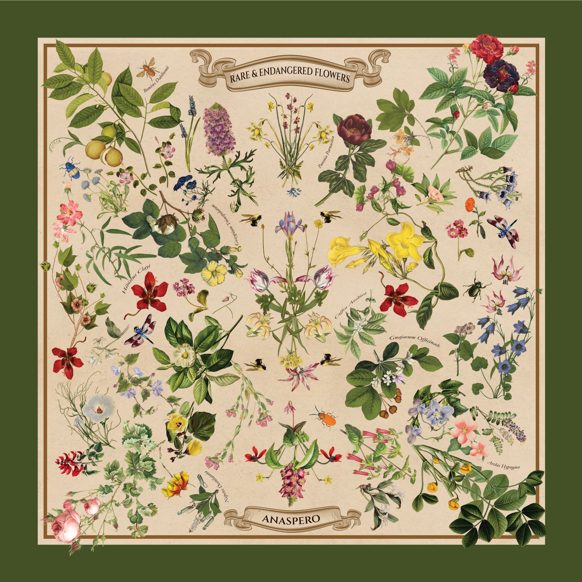 BOTANIC GREEN Silk Scarf - Main Image